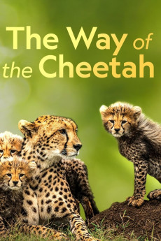 Big Cat Week The Way of the Cheetah (2022) download
