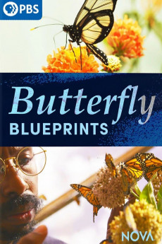 Nova Butterfly Blueprints (2022) download