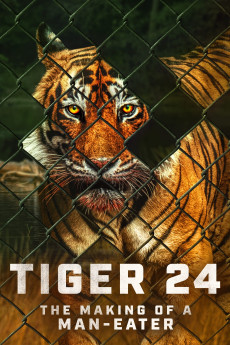 Tiger 24